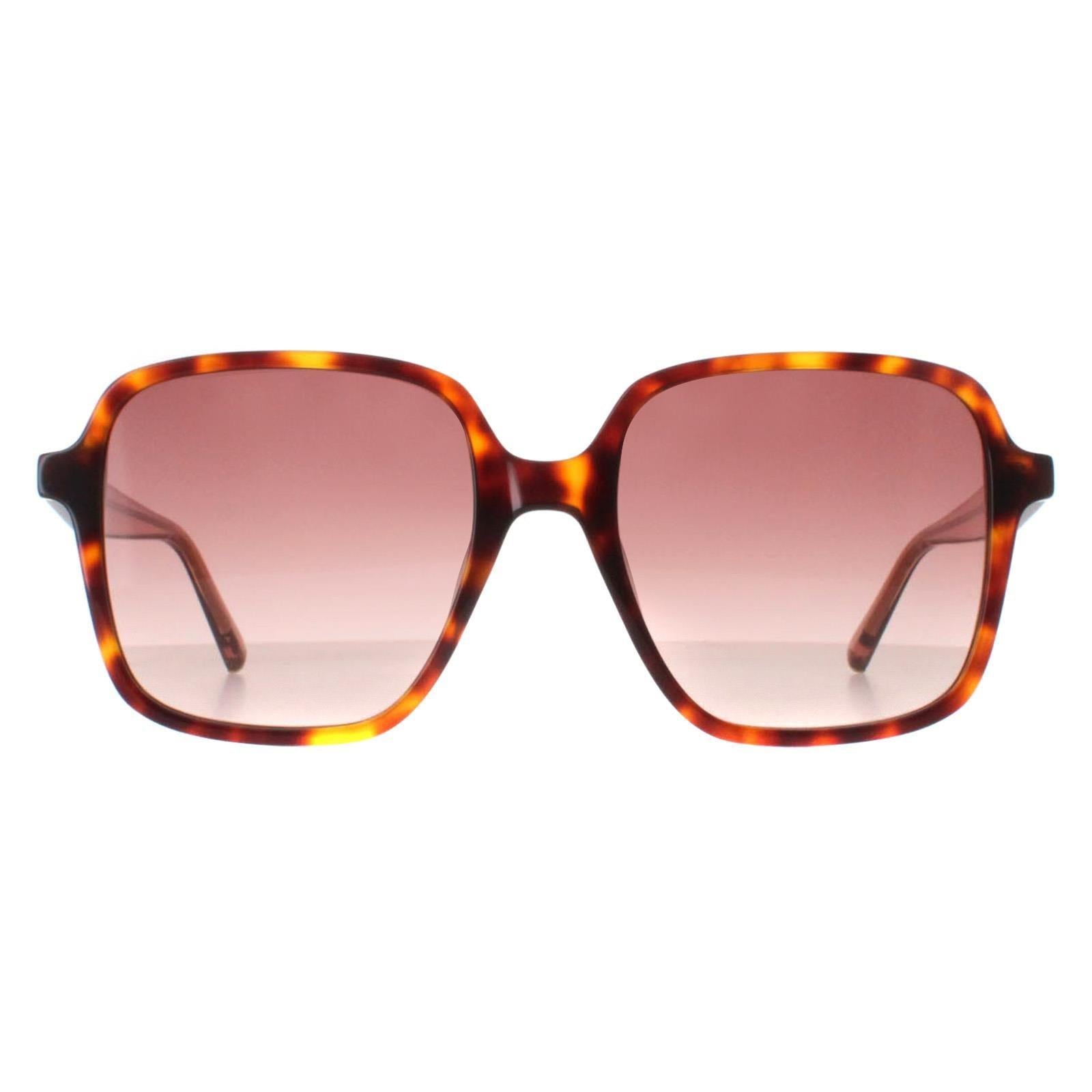 Ted Baker Square Tortoise Pink Gradient TB1688 image 1