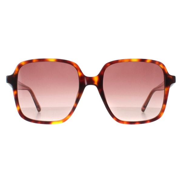 Ted Baker Square Tortoise Pink Gradient TB1688