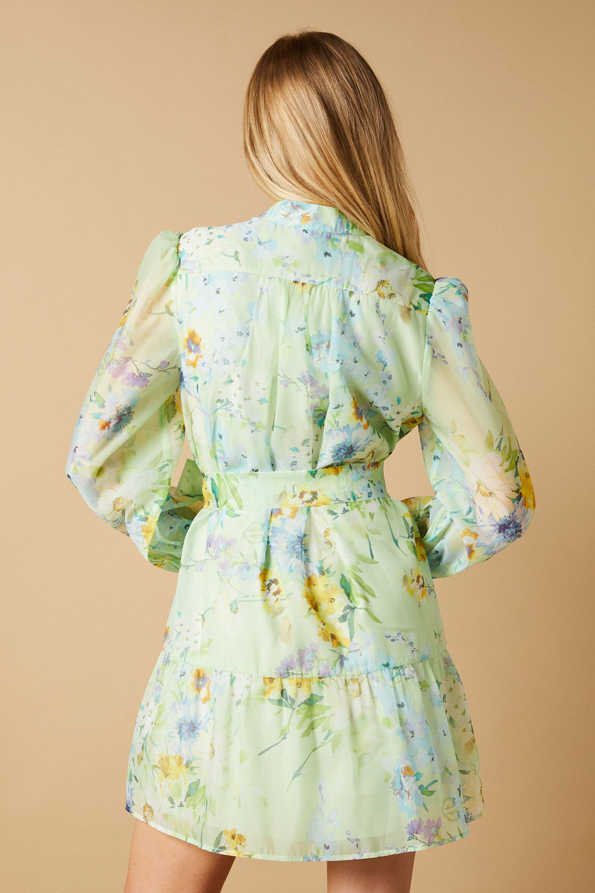 Oasis Sage Floral Organza Mini Shirt Dress Blue image 3