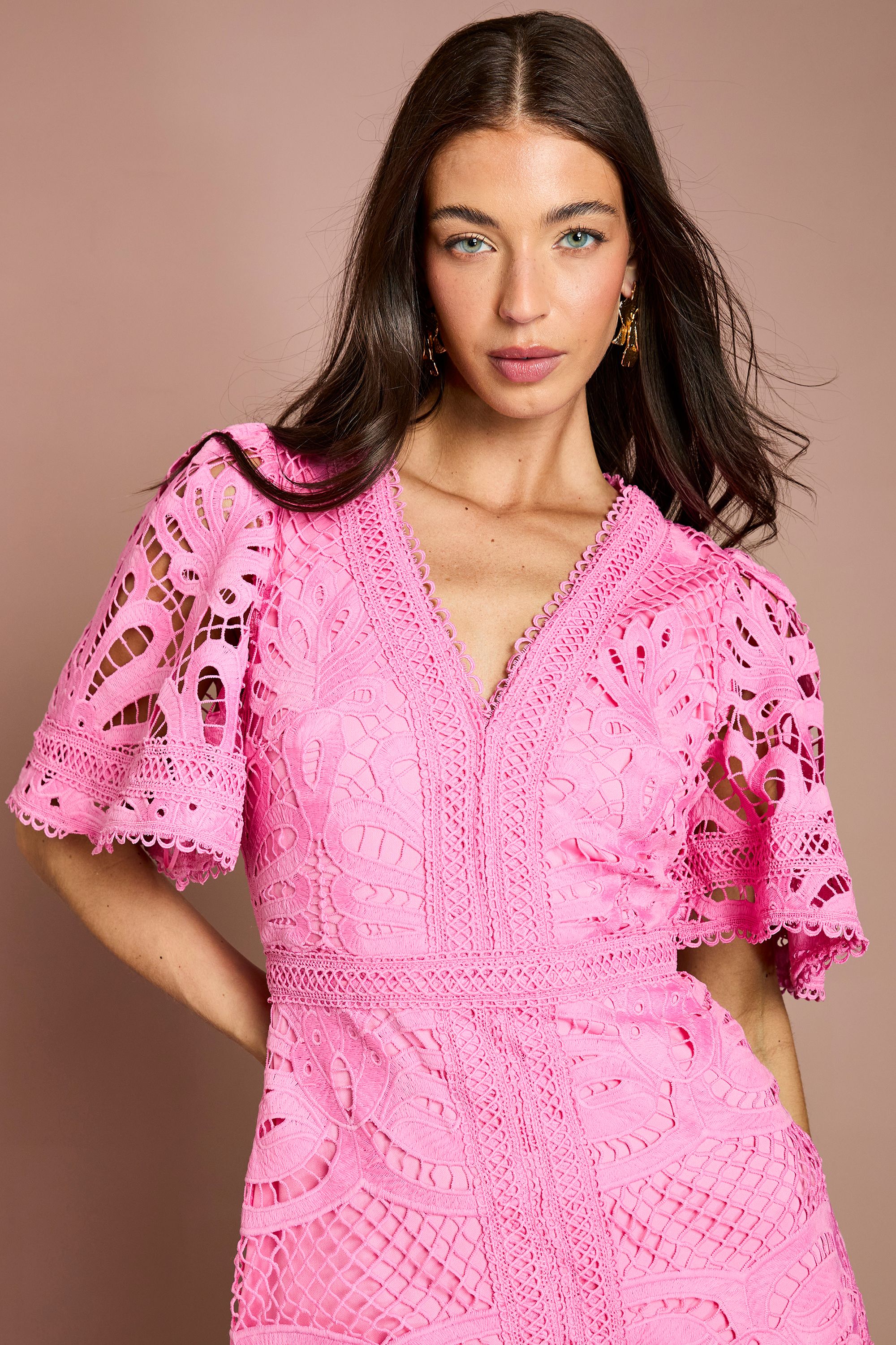 Coast Placement Lace Hanky Hem Dress Pink image 4