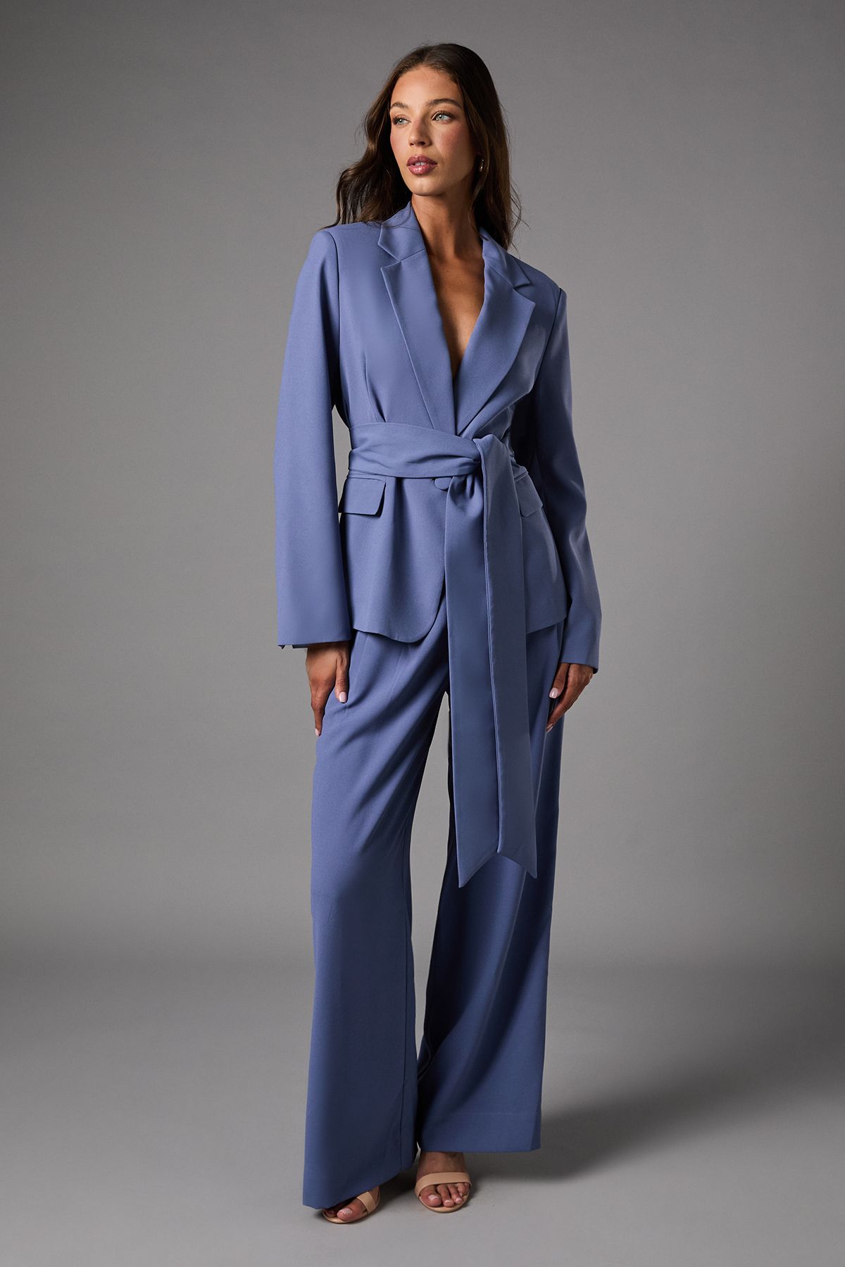 Coast Pleat Front Wide Leg Trouser Blue image 1