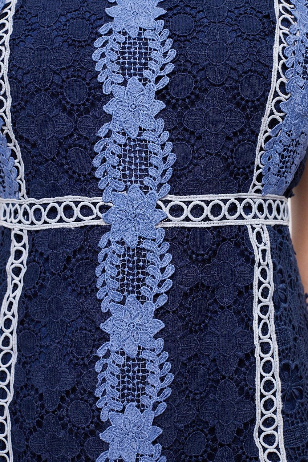 Coast Placement Lace Mini Dress With Collar Navy image 5