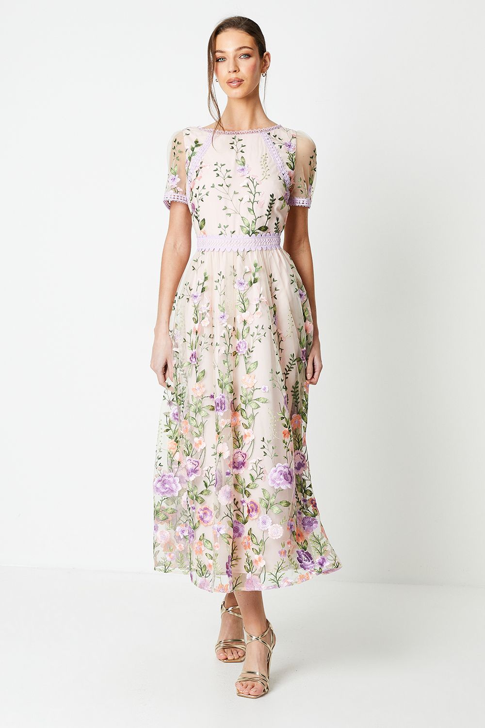 Coast Lace Trim Detail Embroidered Mesh Midi Dress Blush