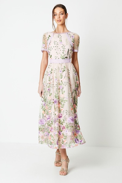 Coast Lace Trim Detail Embroidered Mesh Midi Dress Blush