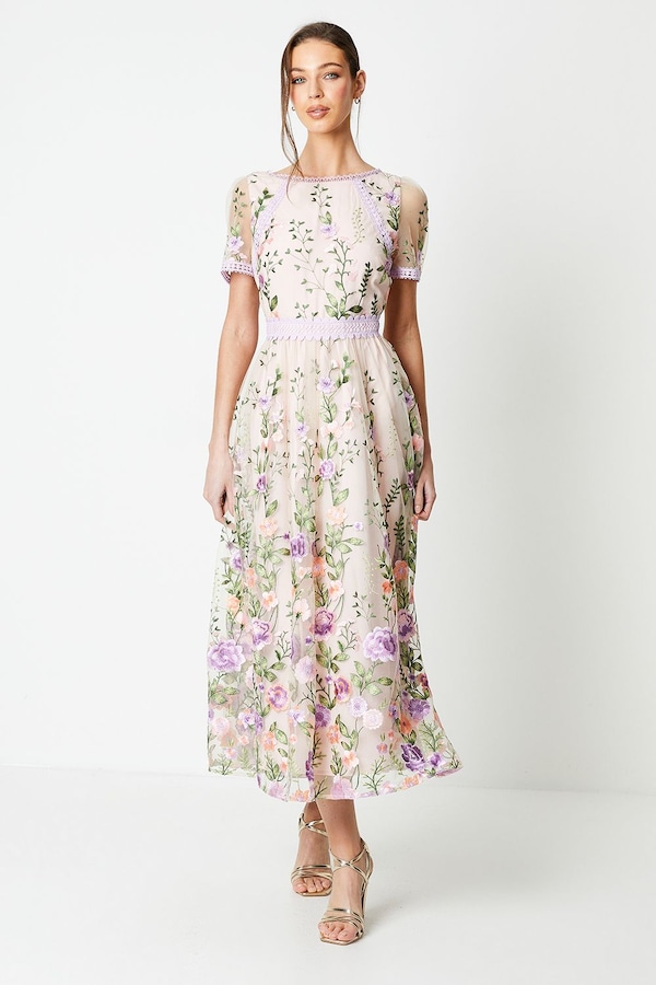 Coast Lace Trim Detail Embroidered Mesh Midi Dress Blush