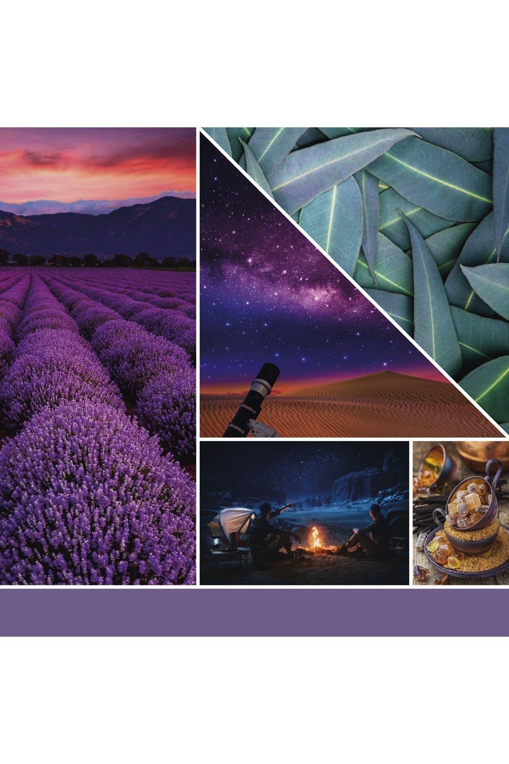 Yankee Candle Signature large jar stargazing Multi image 3