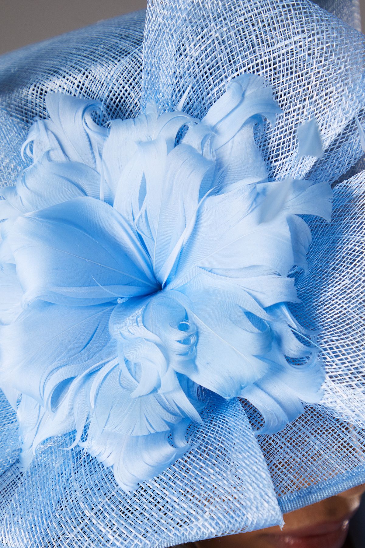 Coast Large Floral Rose Hat Light Blue image 3