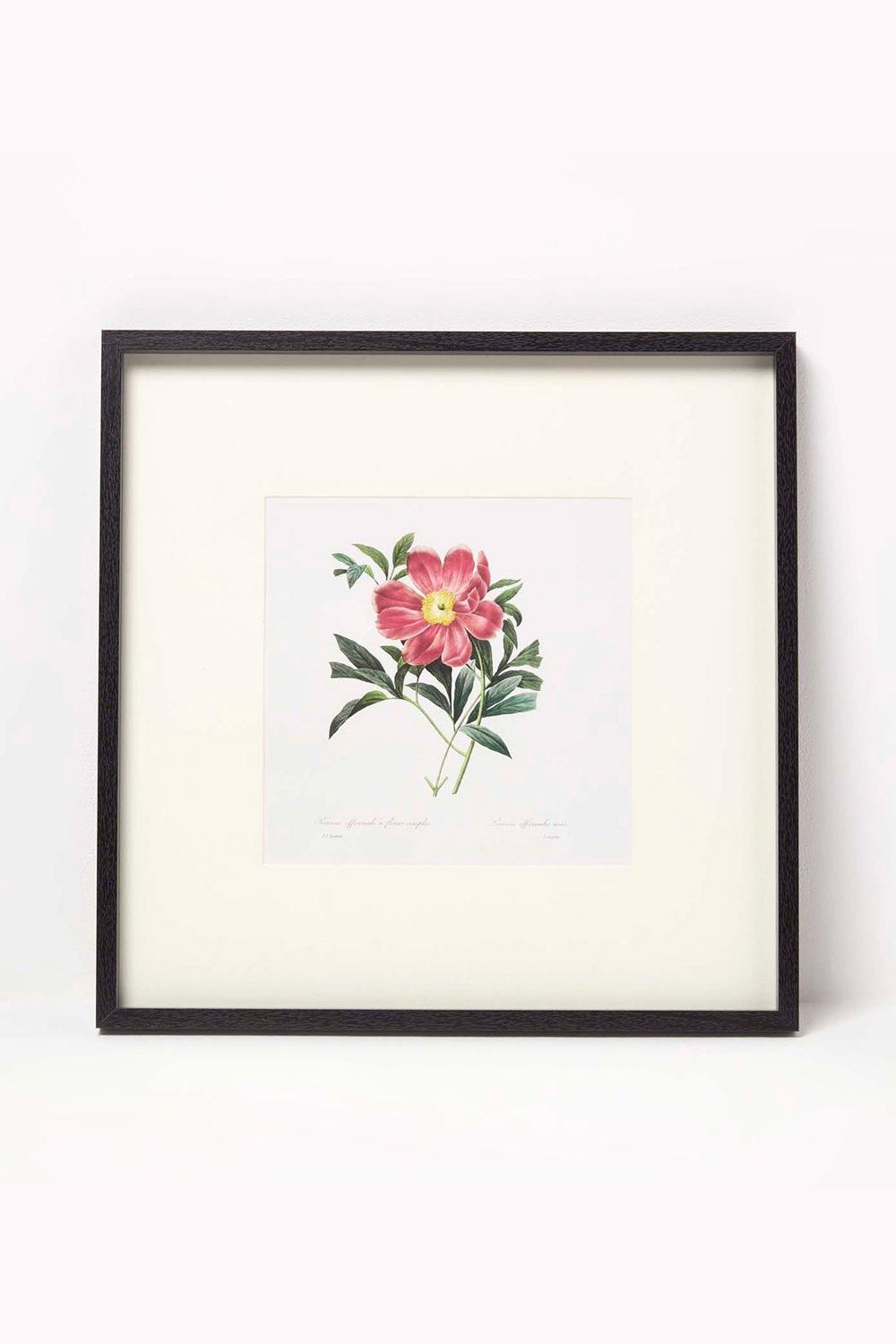 Homescapes Wall Decoration Set of 3 Frames with Picture, Peonies image 4