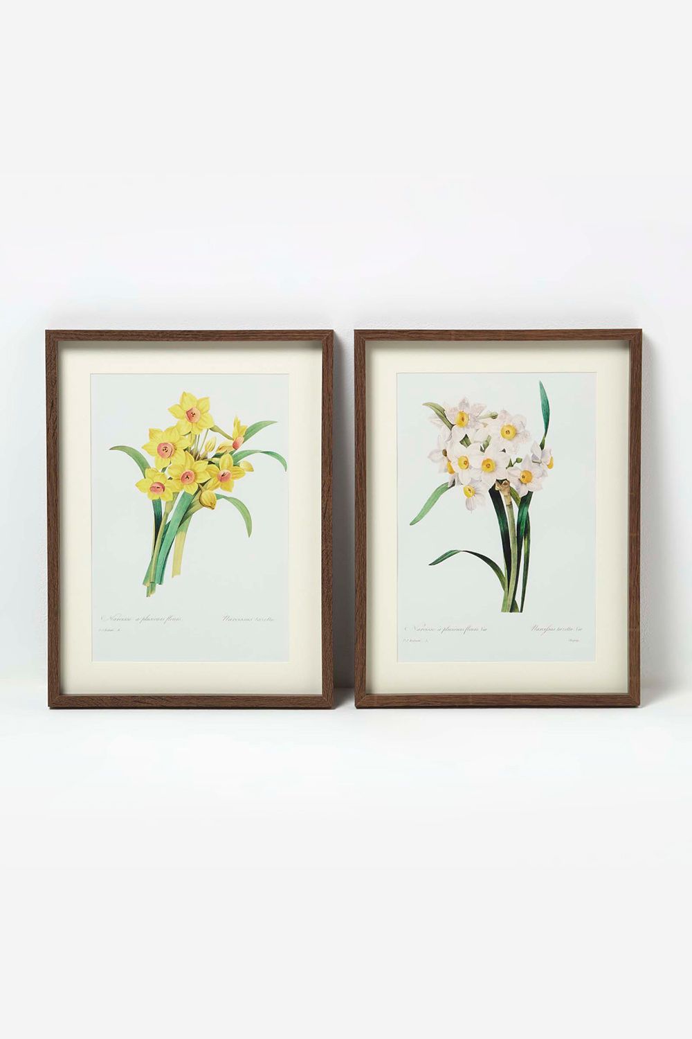 Homescapes Set of 2 Narcissus Flower Wall Art