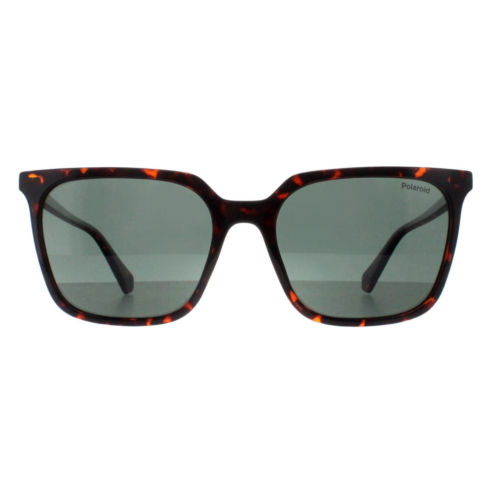 Polaroid Square Havana Green Polarized PLD 4163/S image 1