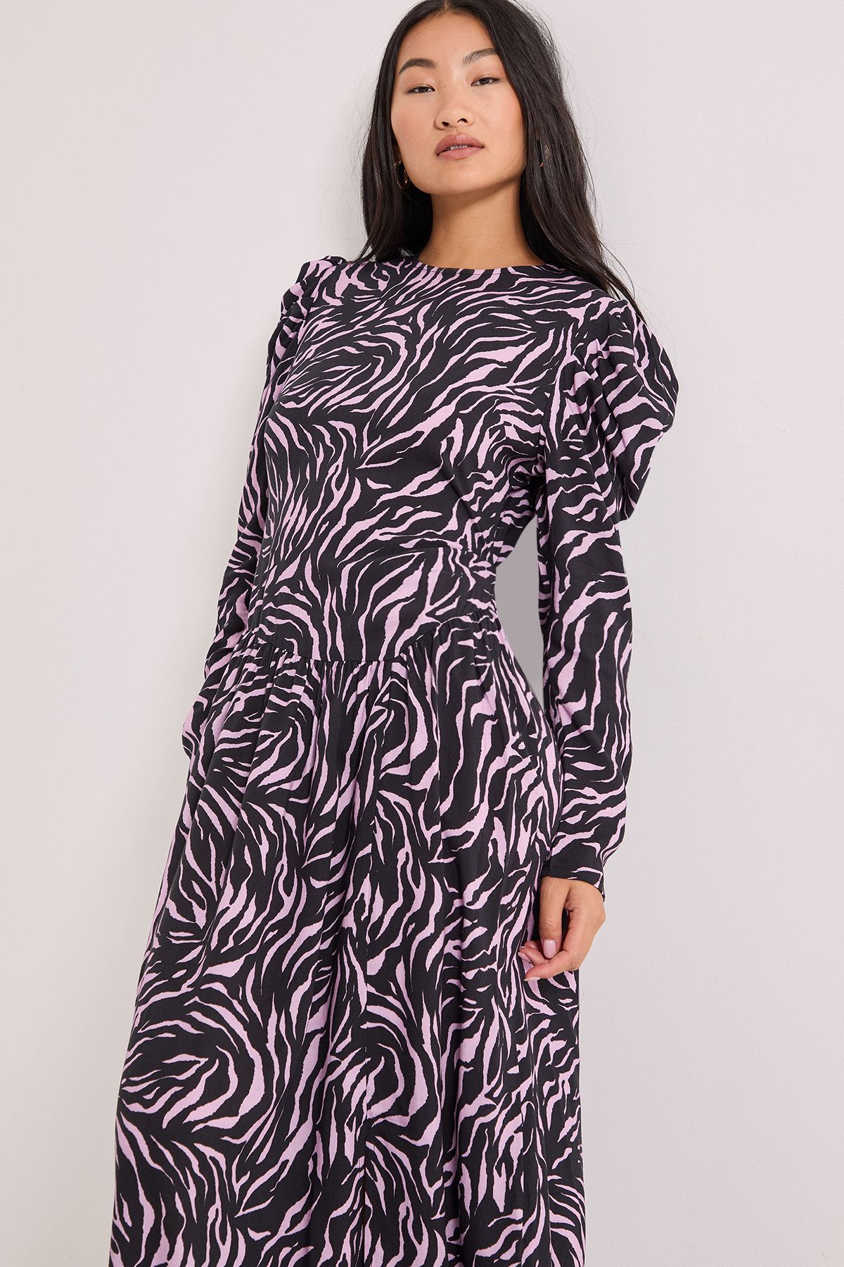 Dorothy Perkins Petite Dropped Waist A-line Midi Dress Pink image 4