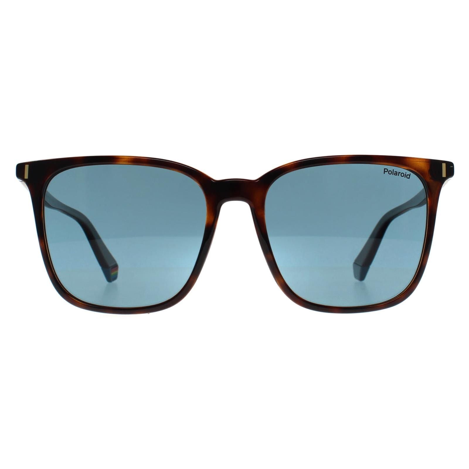 Polaroid Square Havana Blue Polarized PLD 6226/S image 1