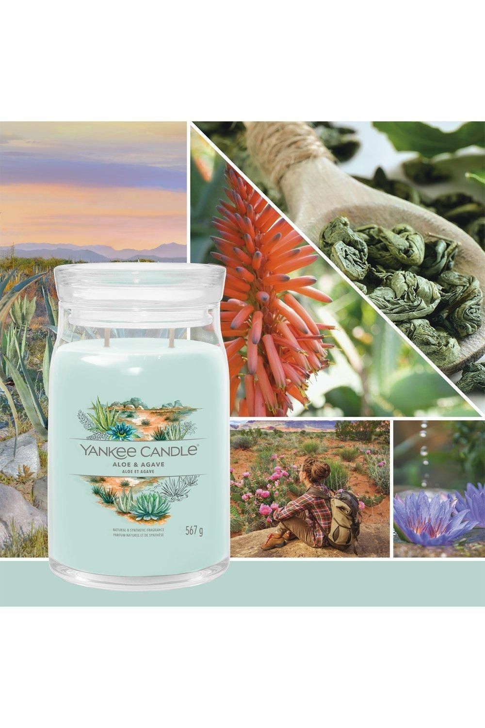 Yankee Candle Signature medium jar aloe & agave Multi image 3