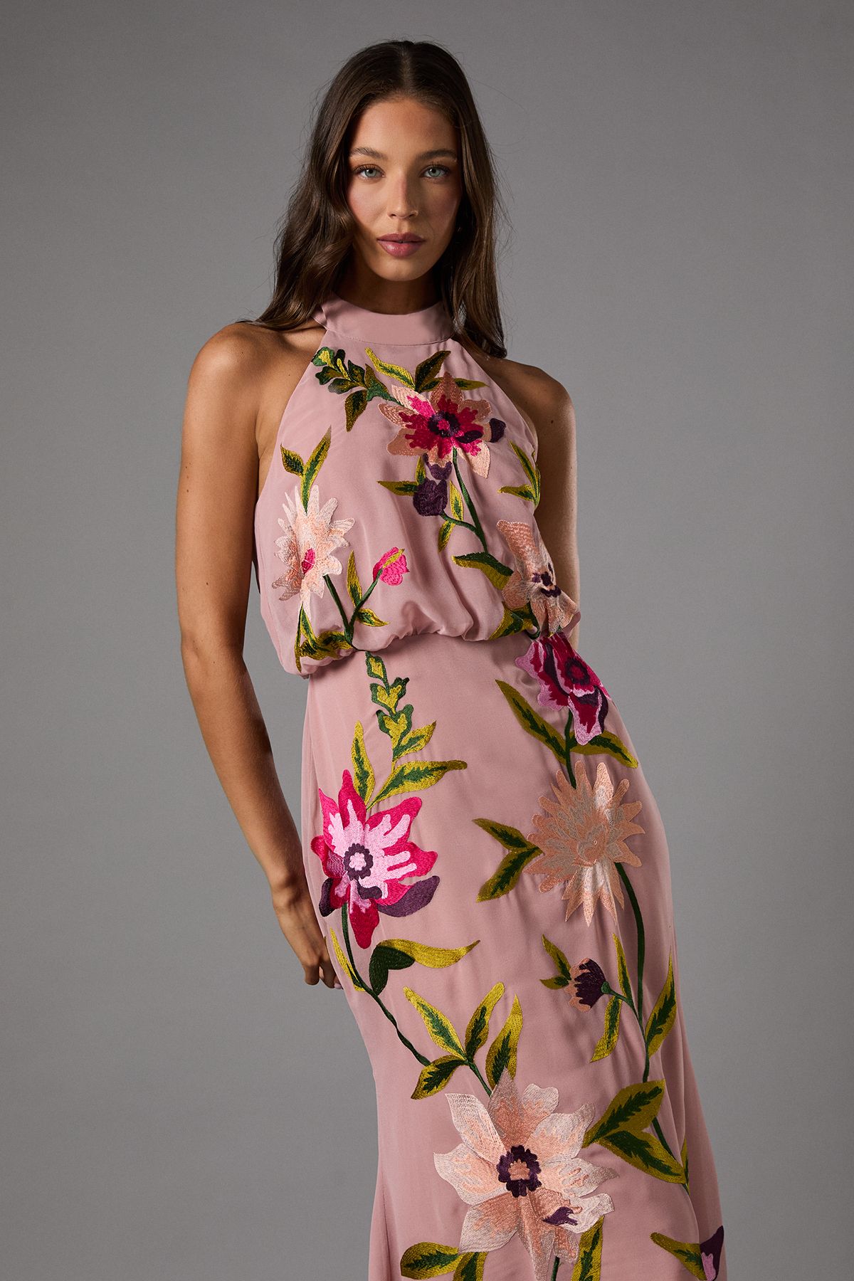Coast High Neck Midi Dress With Floral Embroidery Blush image 2