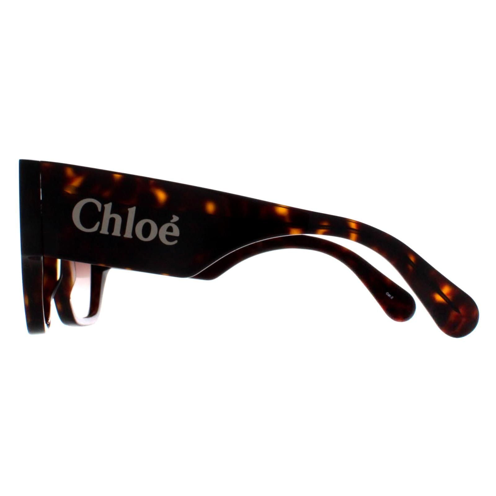 Chloe Square Dark Havana Brown Gradient CH0233S image 3