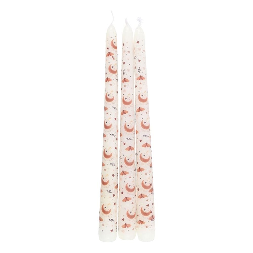 Something Different Taper Harvest Moon Candle Set (Pack of 3) image 1