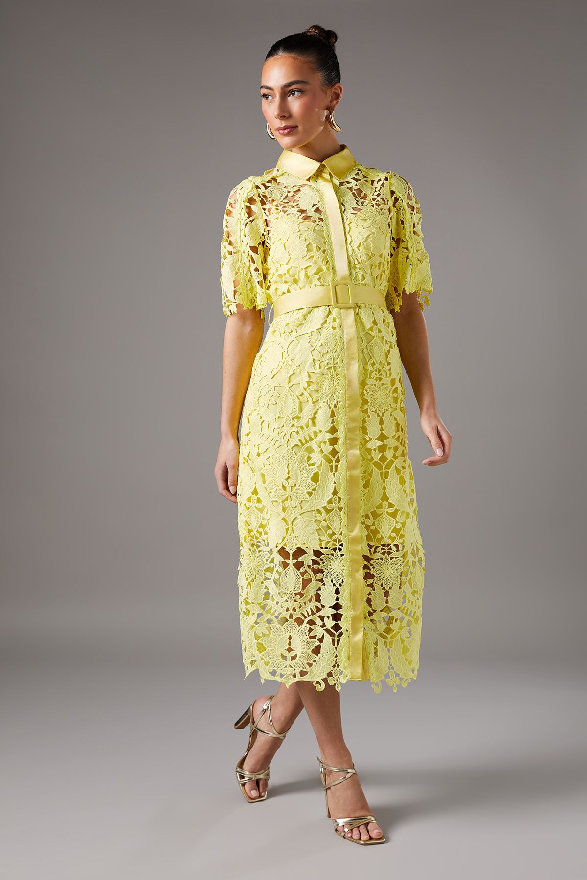 Coast Lace Shirt Dress With Short Sleeves Yellow