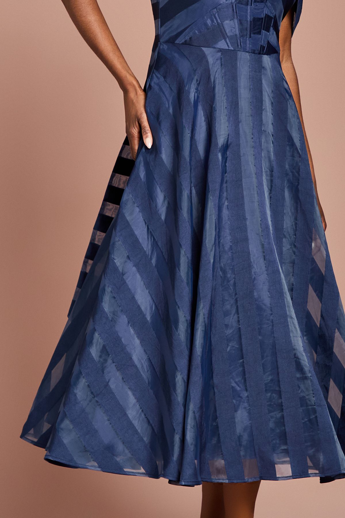 Coast Organza Bardot Midi Dress Navy image 4