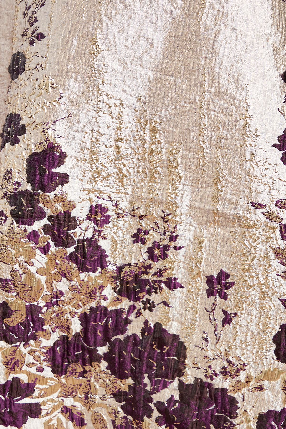 Coast Notch Neck Floral Border Print Jacquard Midi Dress Champagne image 5