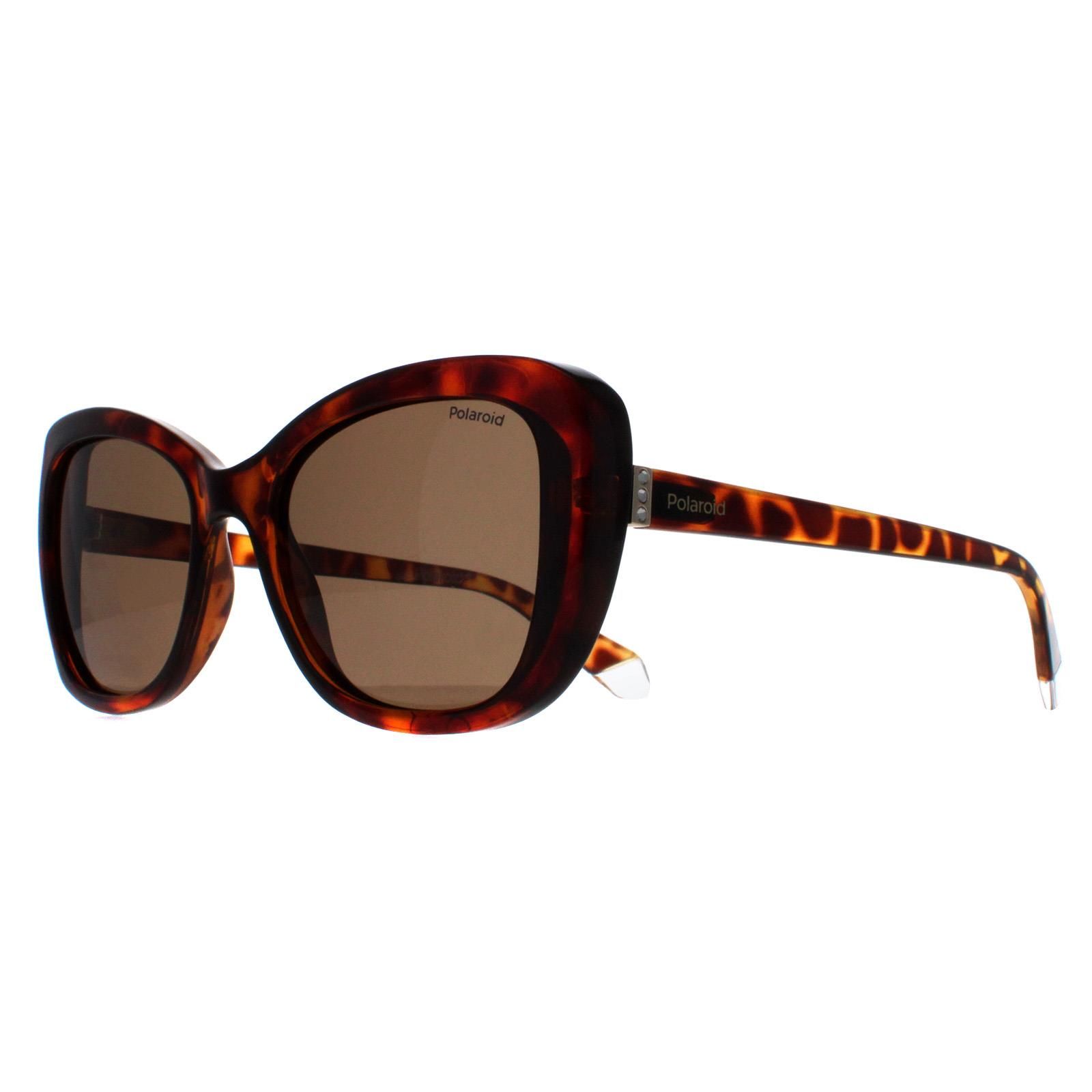 Polaroid Butterfly Havana Bronze Polarized PLD 4132/S image 2