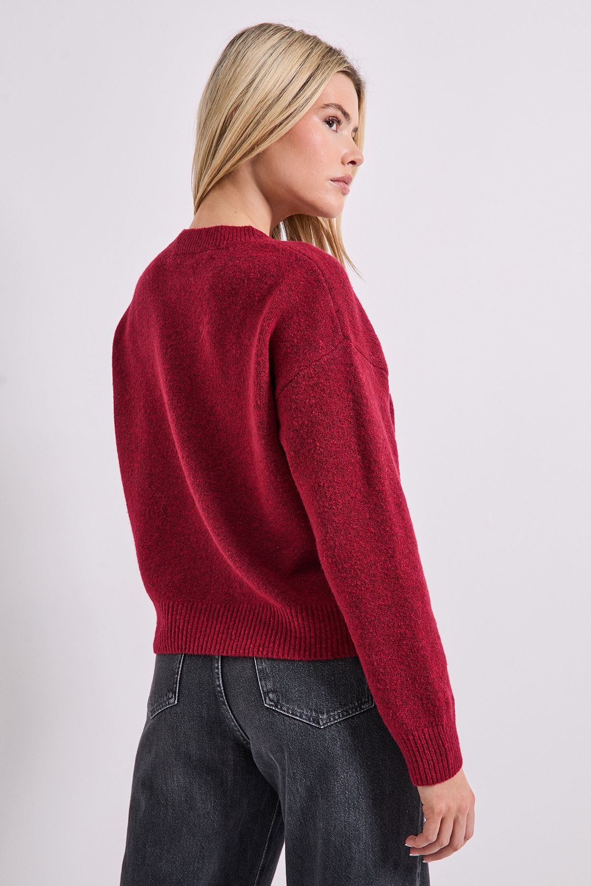 Dorothy Perkins Star Detail Jumper Cranberry image 3