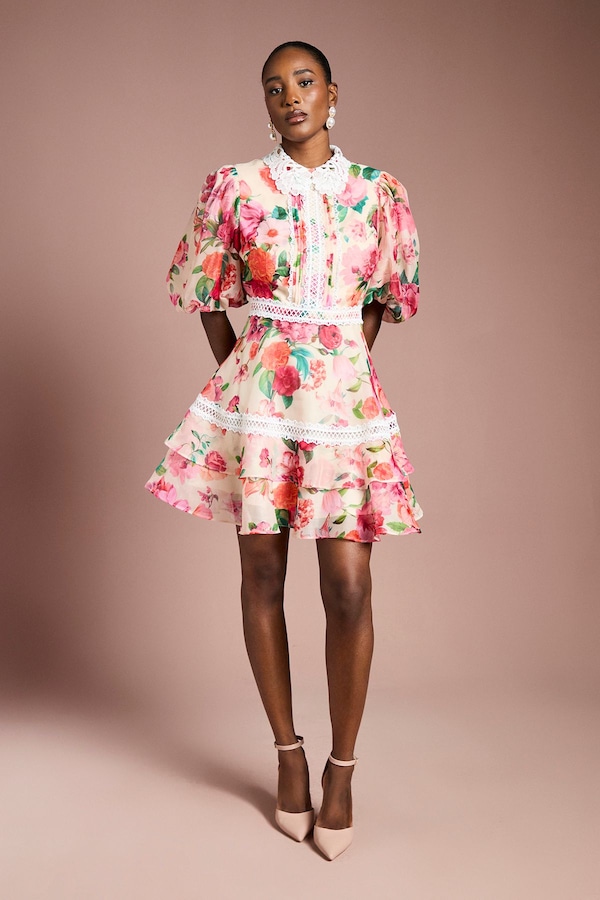 Coast Lace Trim Collared Printed Organza Mini Dress Ivory