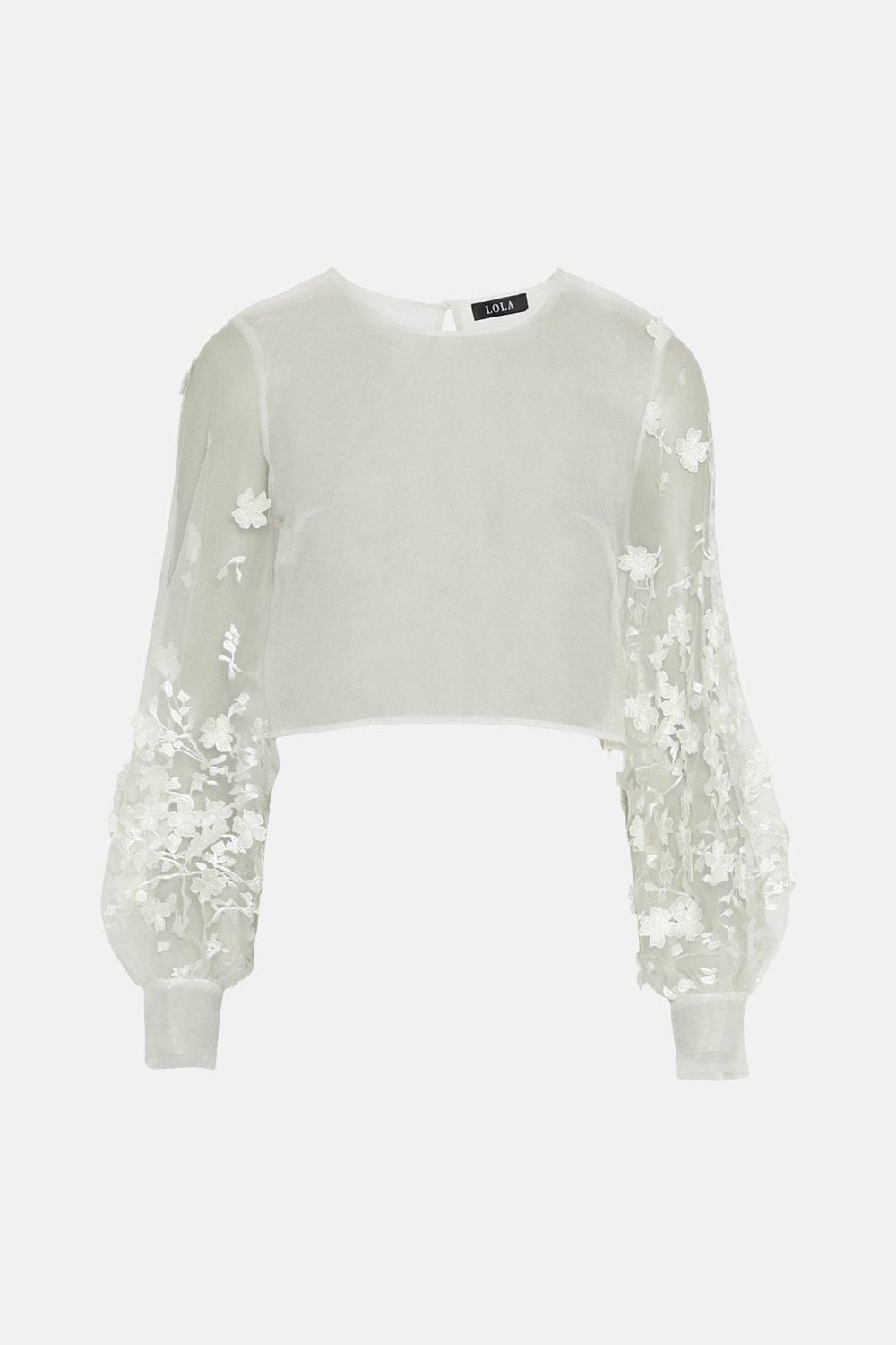 Coast High Neck Longsleeve Lace Top Ivory image 4