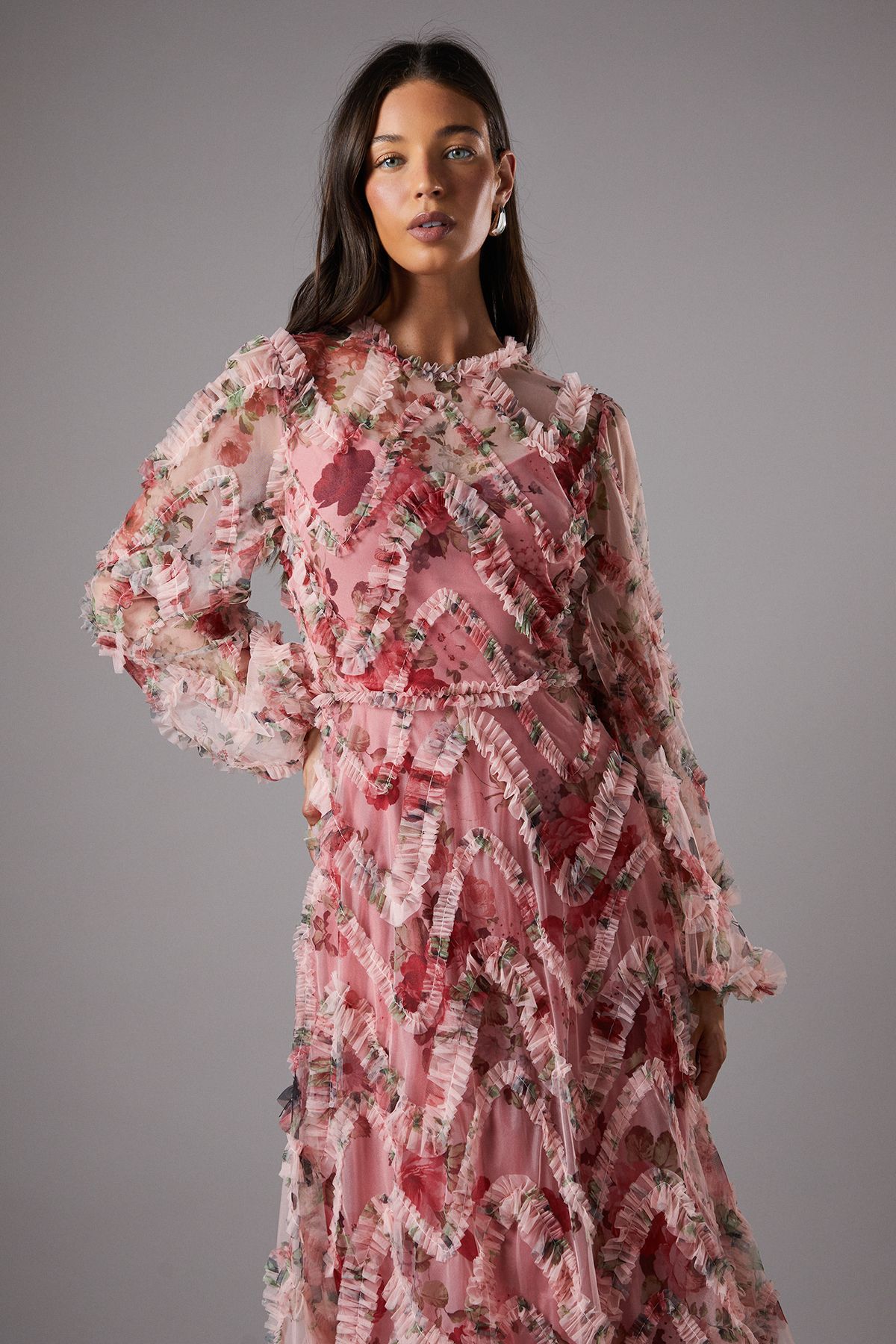 Coast Long Sleeve Applique Floral Midi Dress Pink image 2