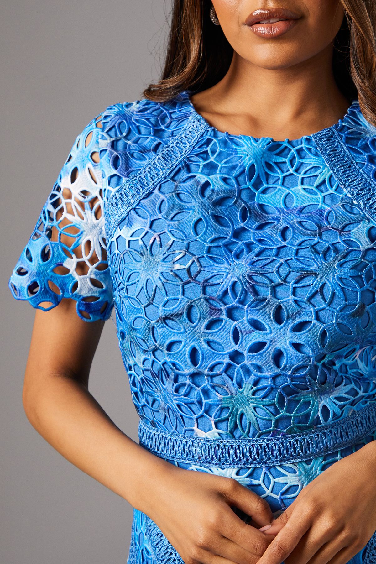 Coast Petite Printed Lace Midi Pencil Dress Blue image 5