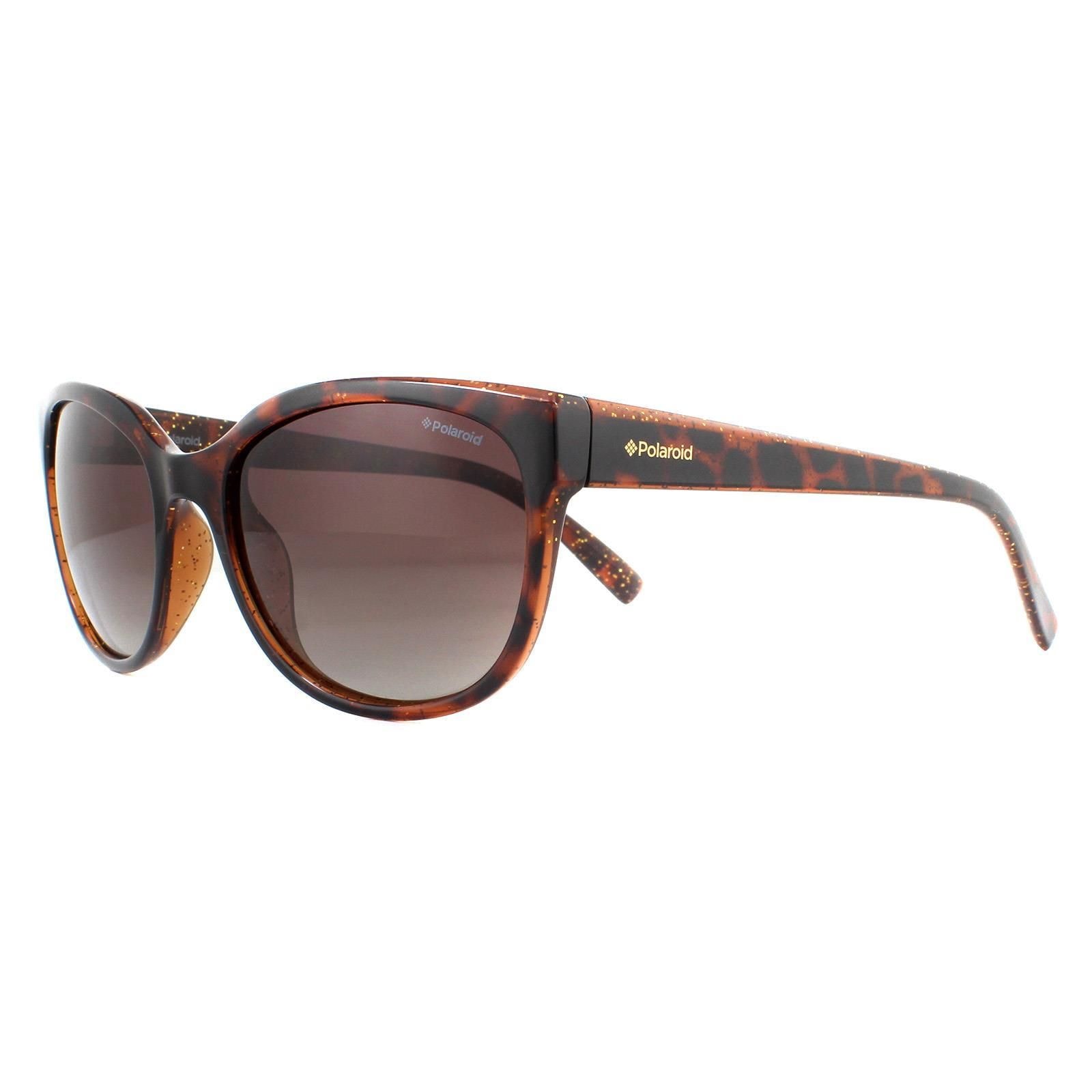 Polaroid Cat Eye Dark Havana Glitter Brown Gradient Polarized Sunglasses image 2