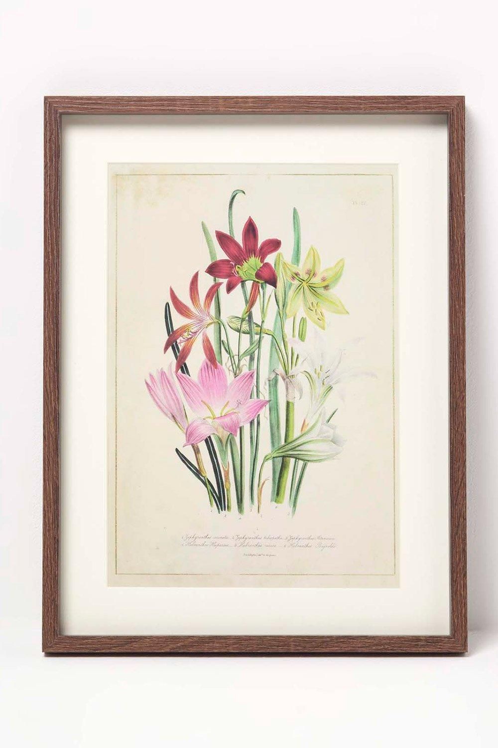 Homescapes Wall Decoration Set of 3 Frames with Picture, Wildflowers image 4