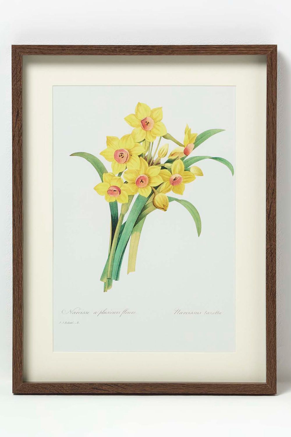 Homescapes Set of 2 Narcissus Flower Wall Art image 2