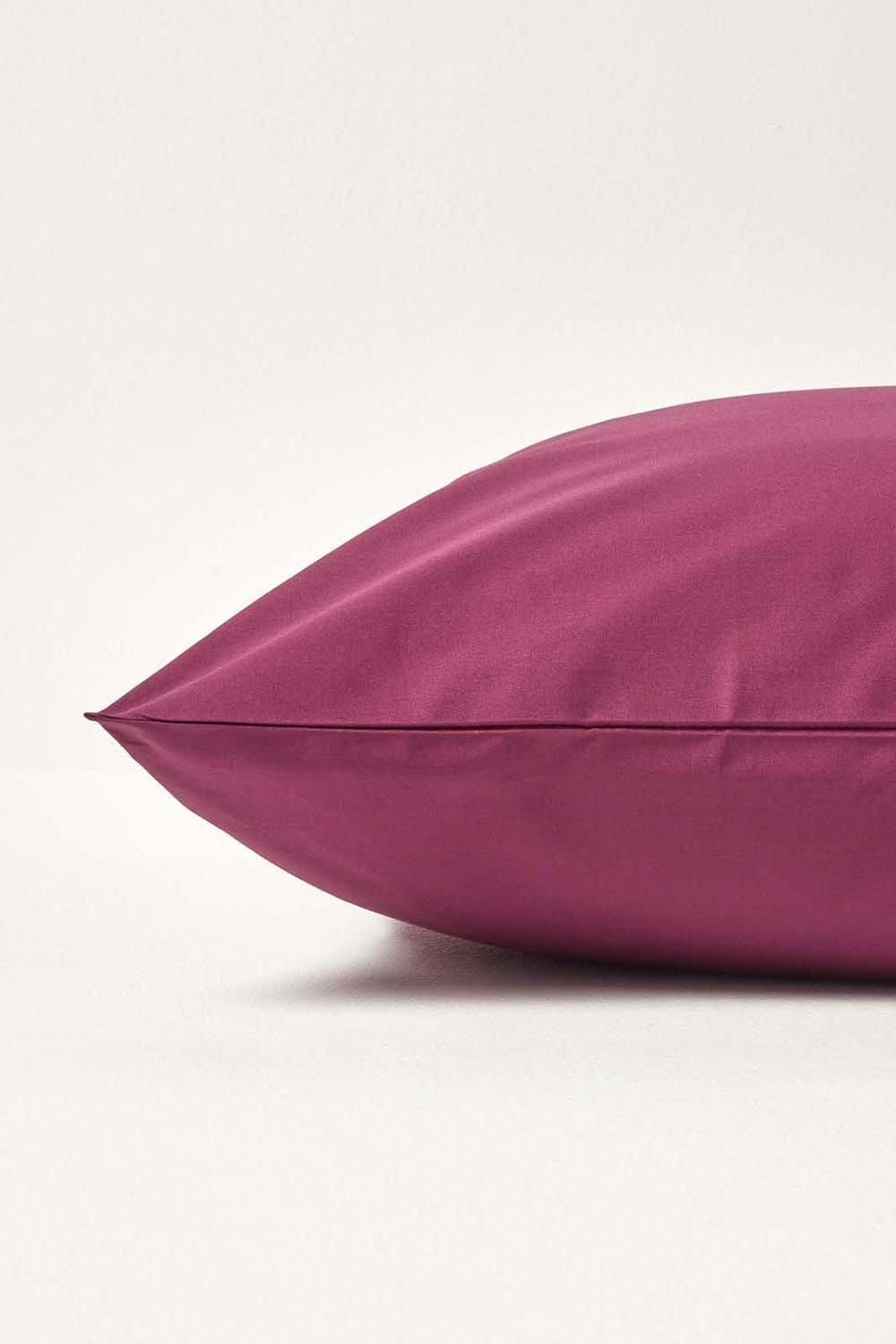 Homescapes Continental Egyptian Cotton Pillowcase 200 TC, 80 x 80 cm image 2