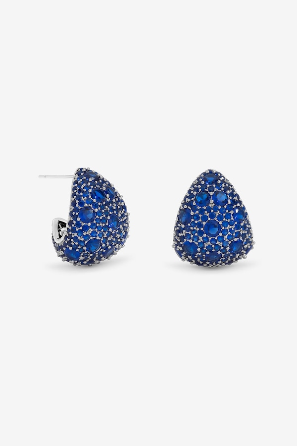 Jon Richard Rhodium Plated Pave and Sapphire Dome Earrings