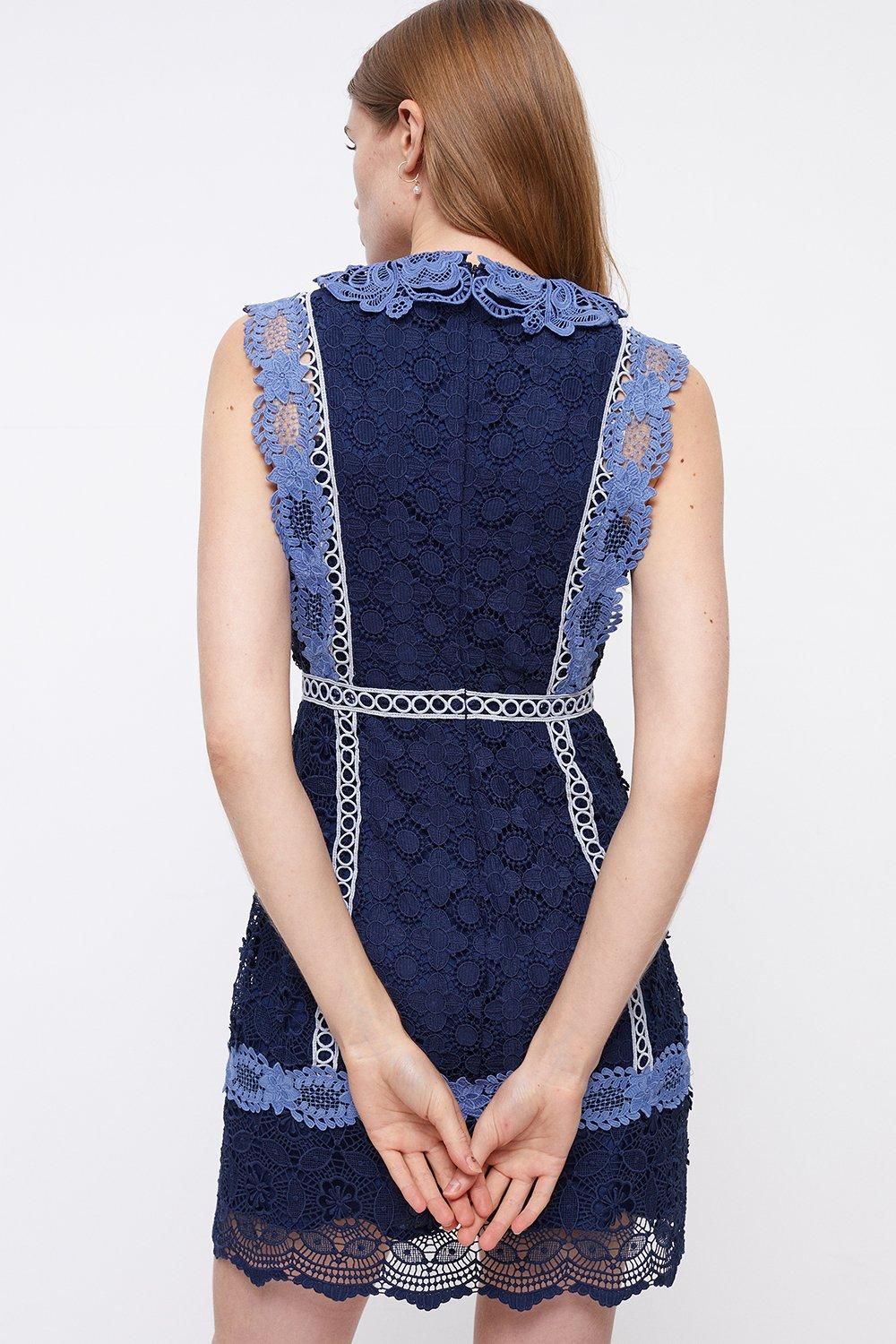 Coast Placement Lace Mini Dress With Collar Navy image 3