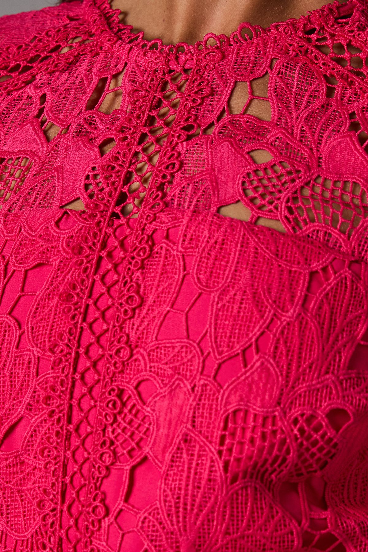 Coast Lace Panelled Long Sleeve Dress Raspberry image 5