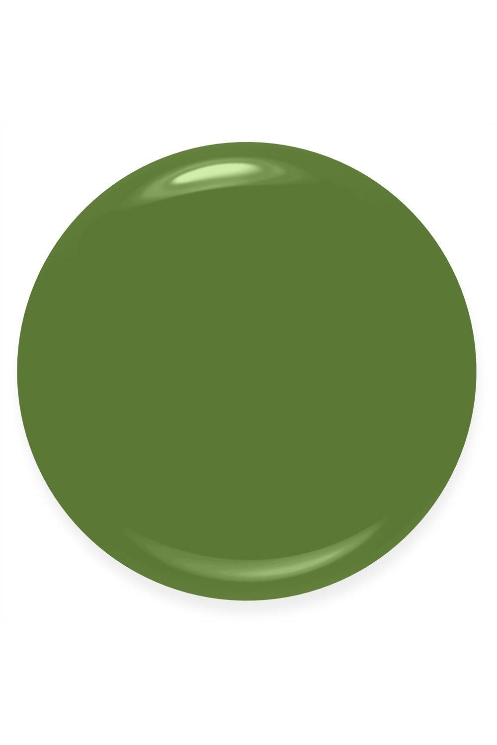 Rimmel London 60 Seconds Super Shine Nail Polish Grassy Fields image 2