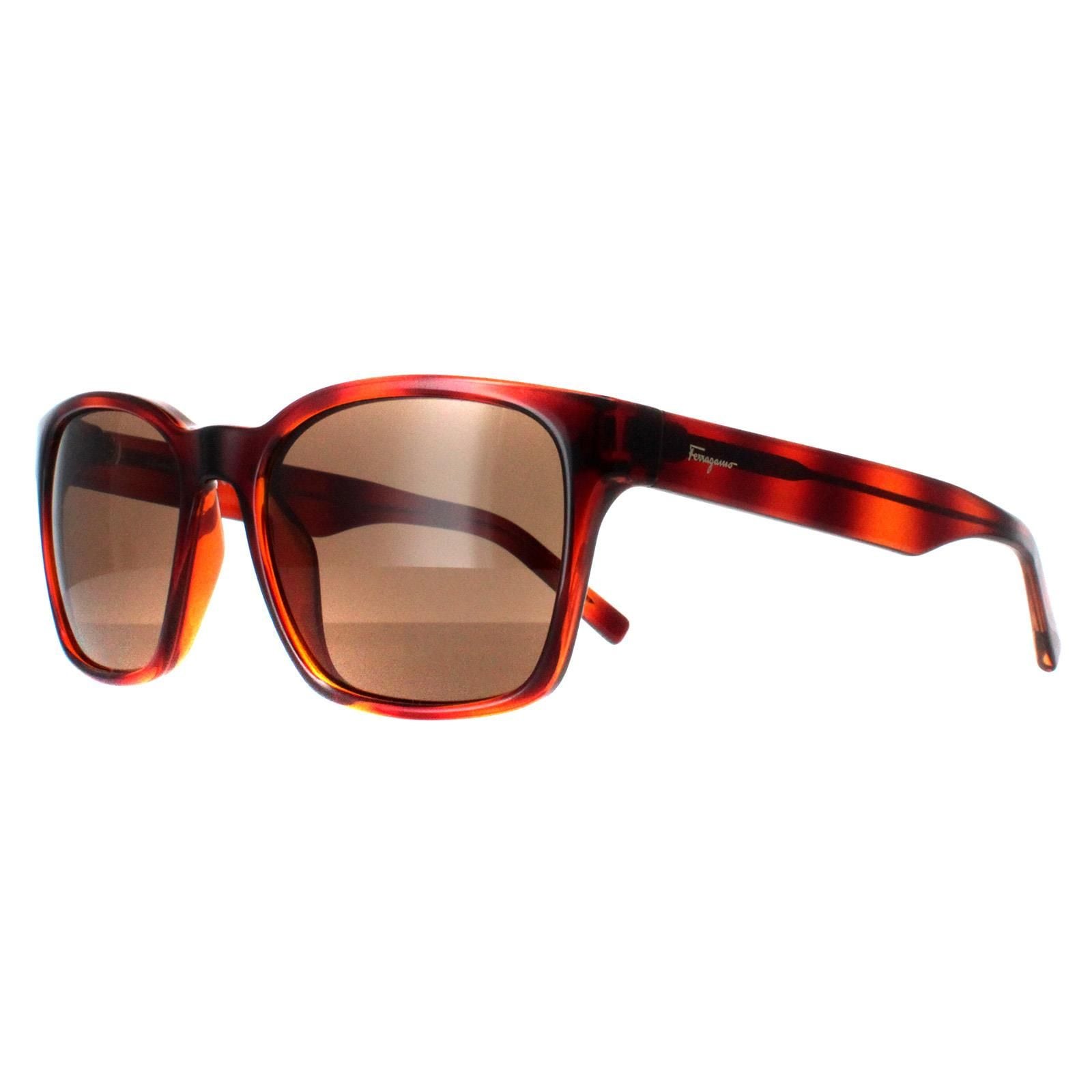Salvatore Ferragamo Square Tortoise Brown SF959S image 2