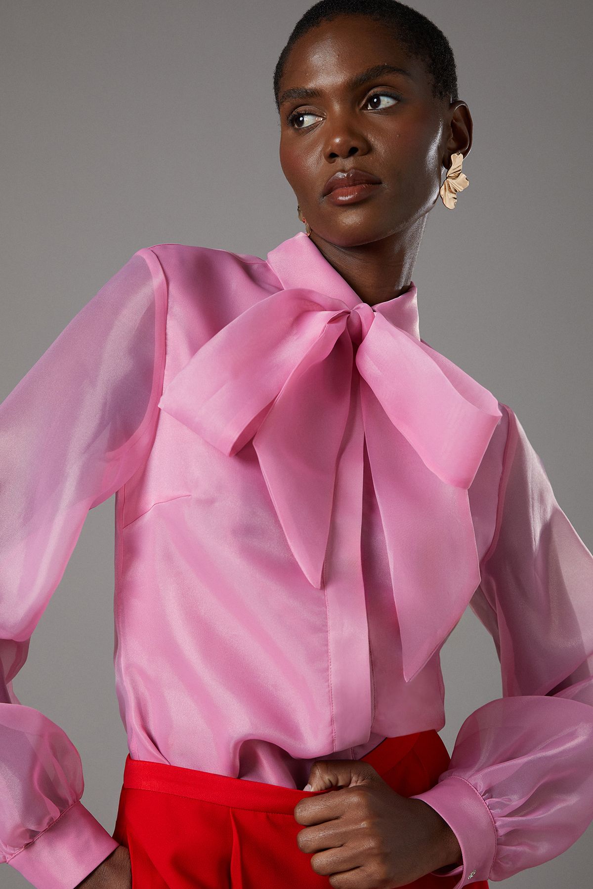 Coast Statement Tie Neck Organza Blouse Pink image 4