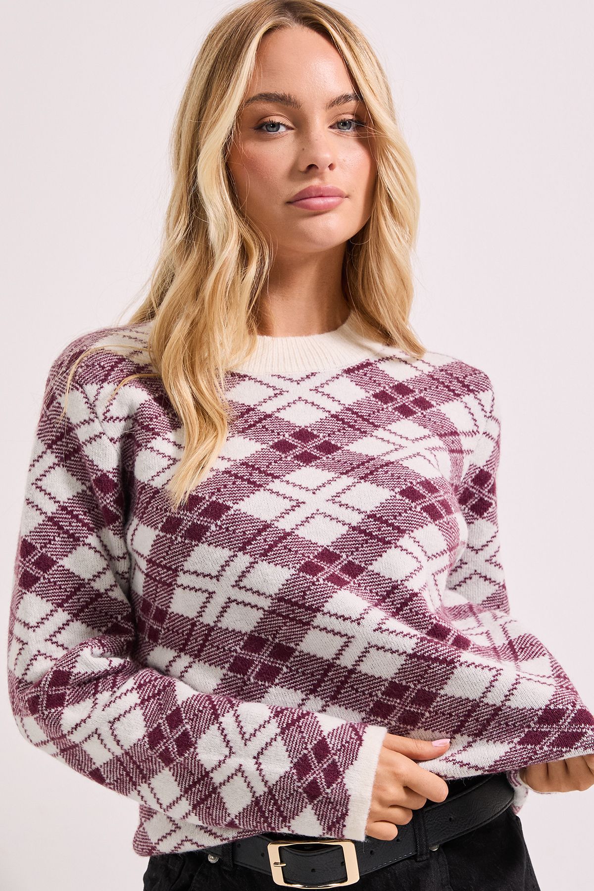 Dorothy Perkins Argyle Jumper Berry image 5
