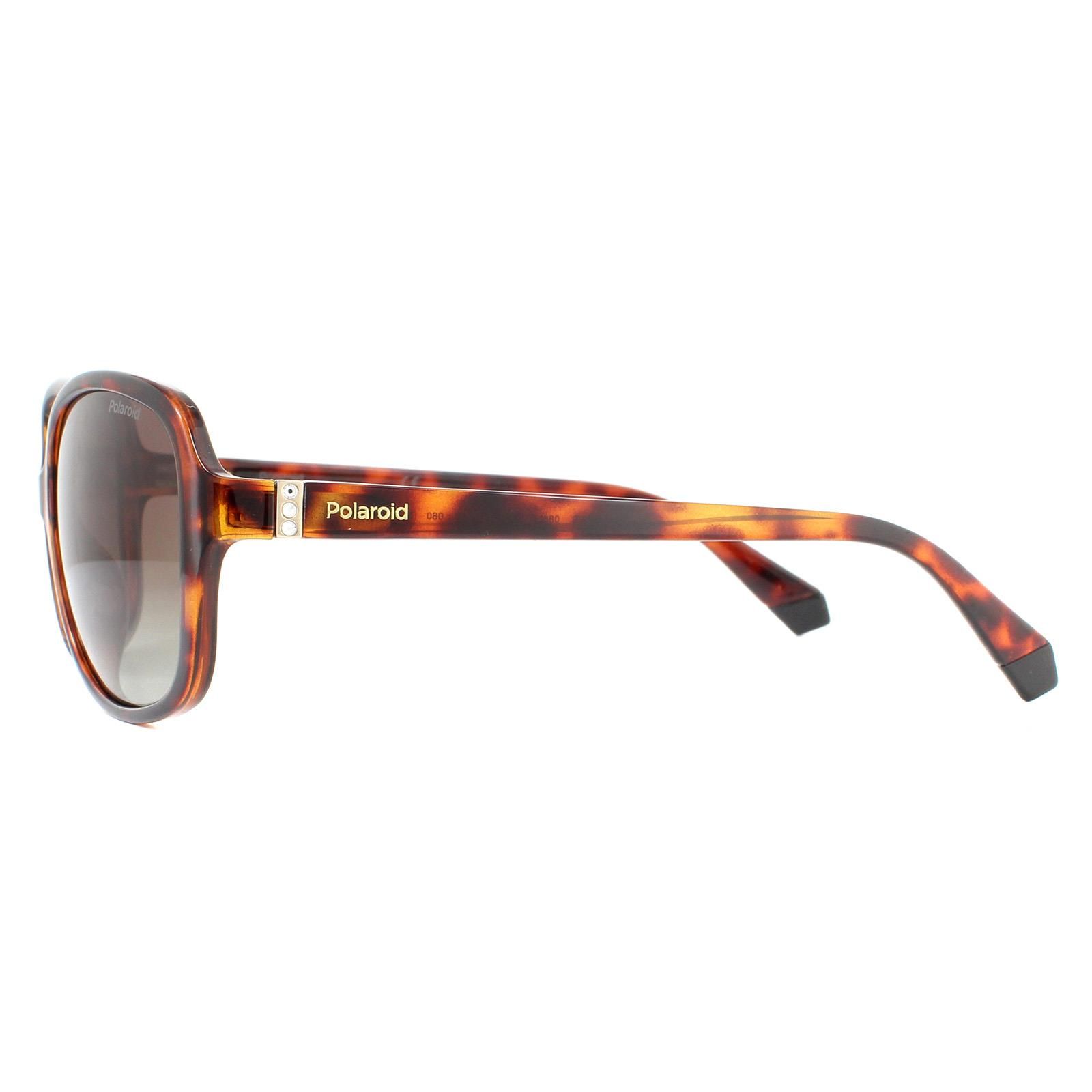 Polaroid Fashion Dark Havana Brown Gradient Polarised Sunglasses image 3