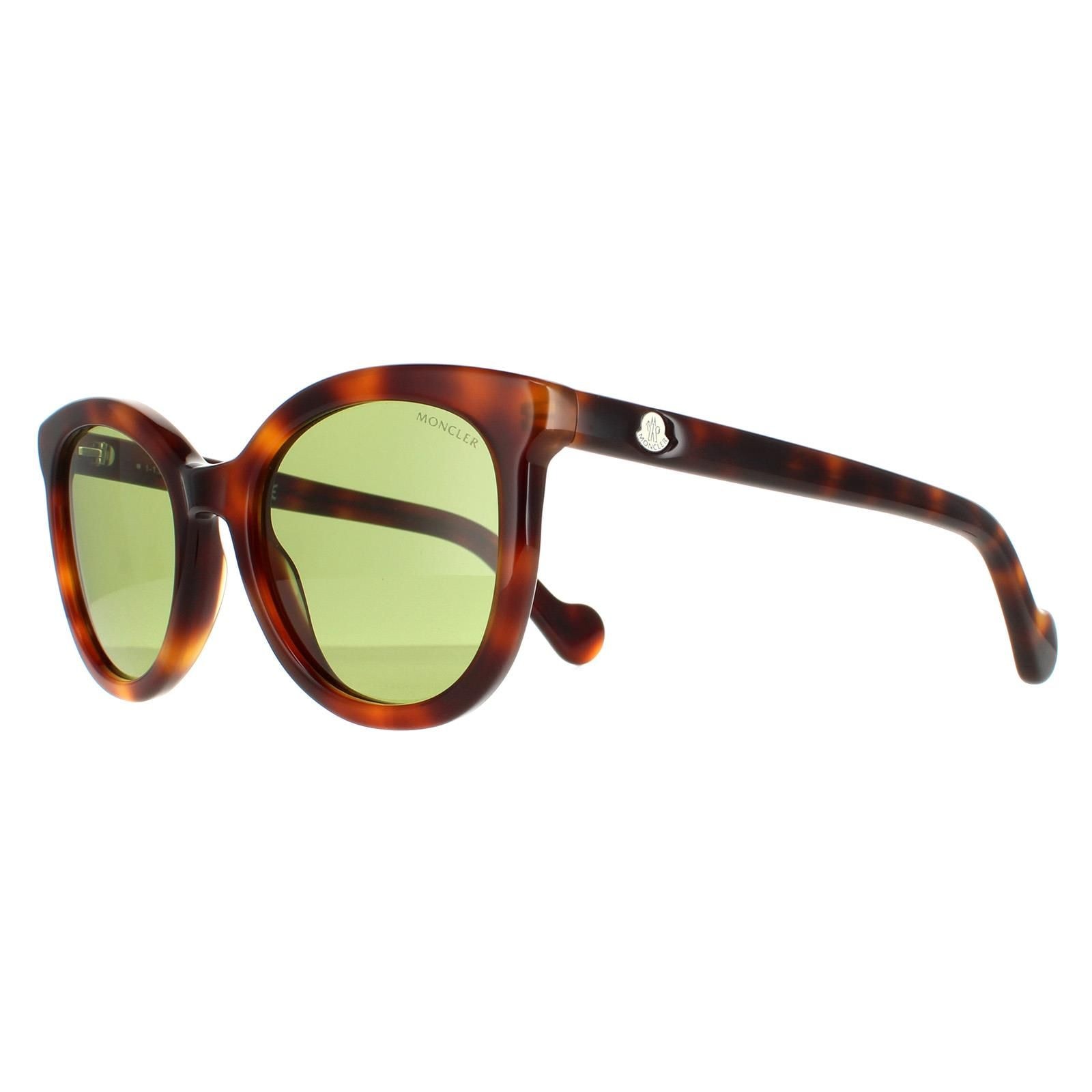 Moncler Round Dark Havana Green ML0119 image 2
