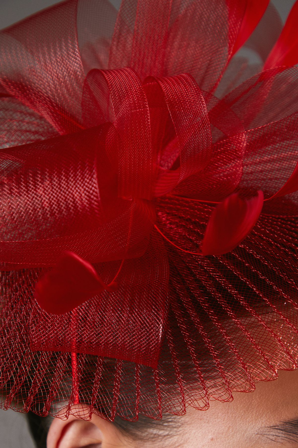Coast Pleated Loop And Feather Fascinator Red image 3