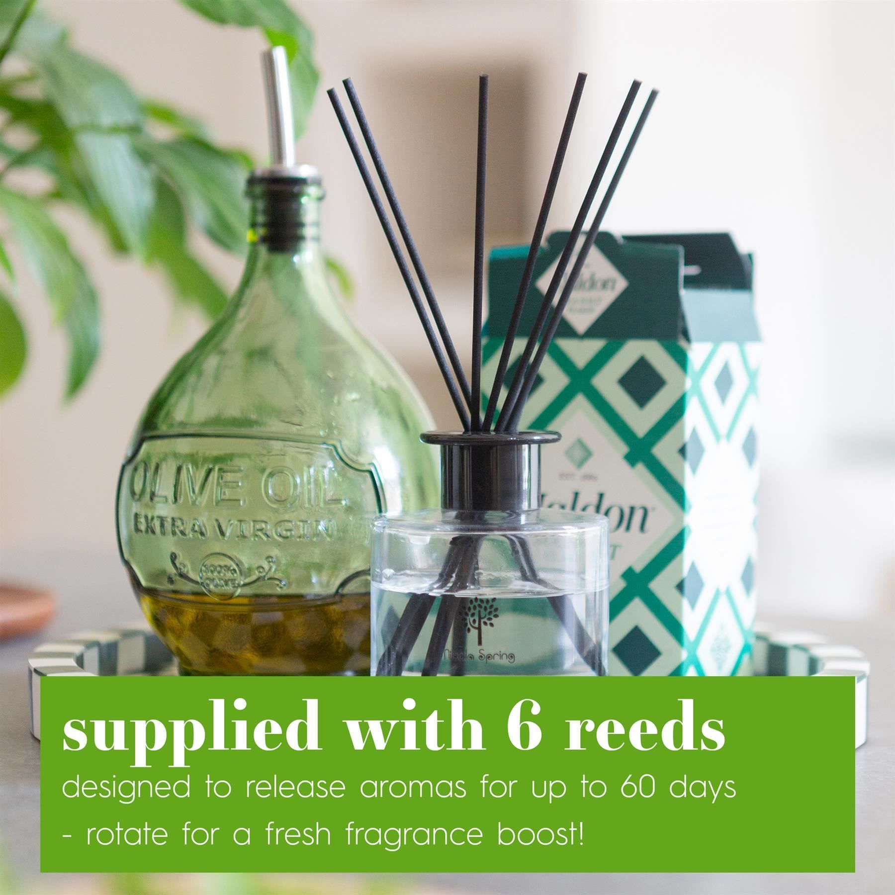 Nicola Spring 200ml Sage Retreat Reed Diffuser - Herbal Spa Relaxing Scent Jar image 3