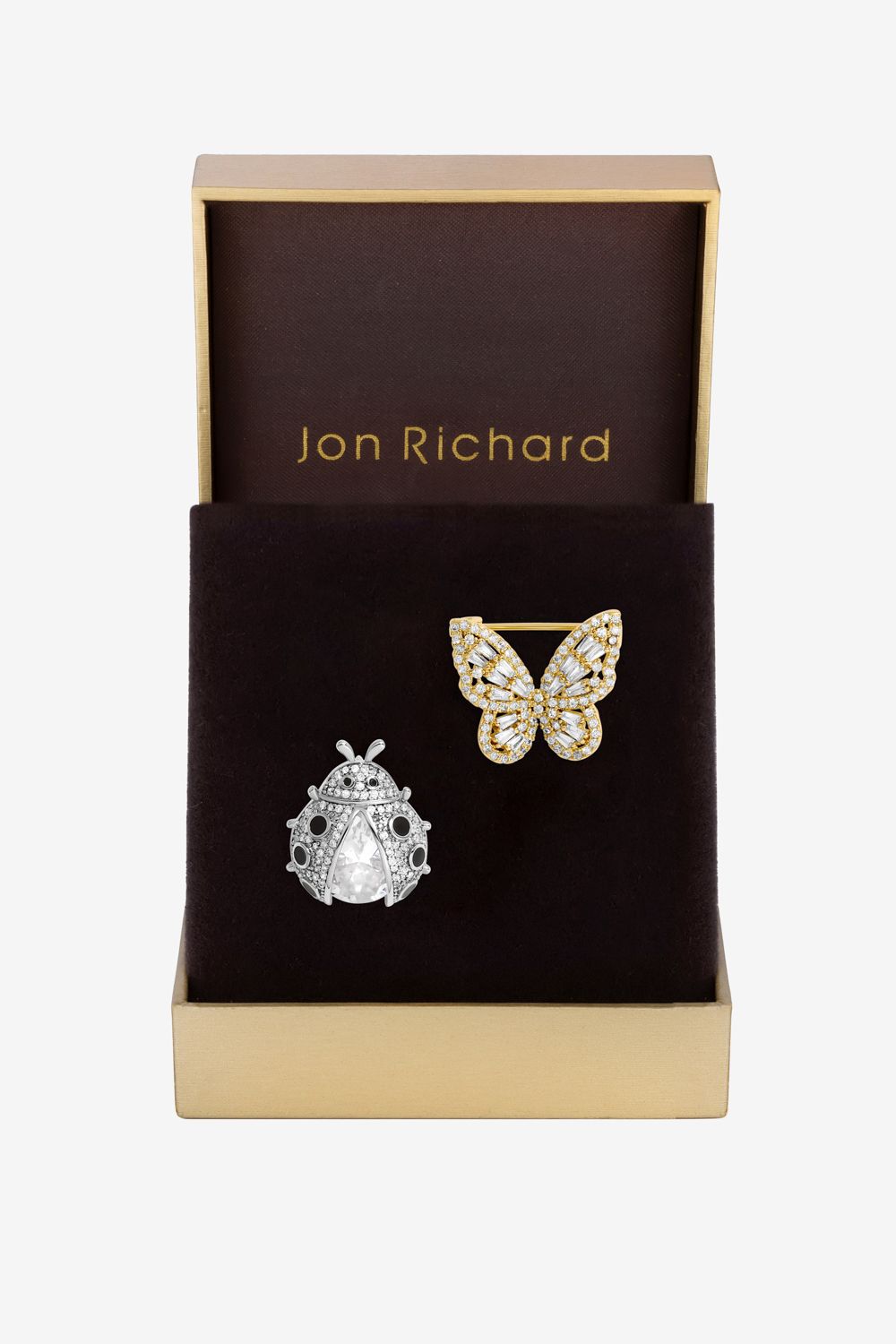 Jon Richard Bug Brooch - Pack Of 2 - Gift Boxed image 1