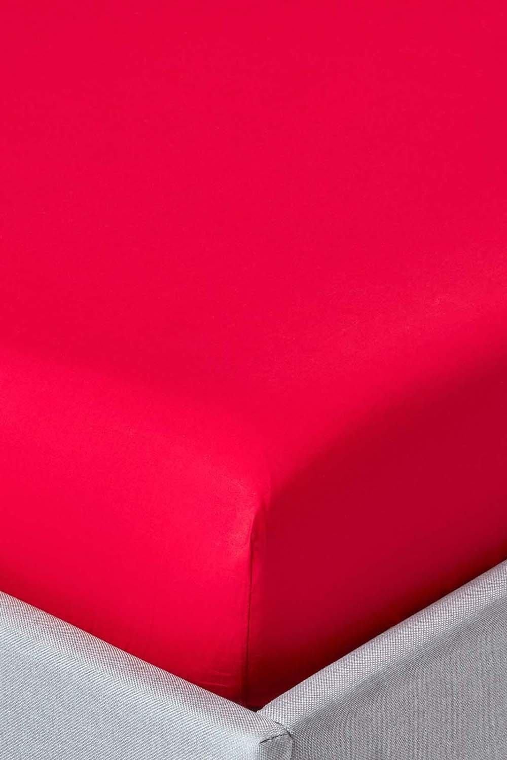 Homescapes Egyptian Cotton Deep Fitted Sheet 18 inch 200 Thread Count image 1