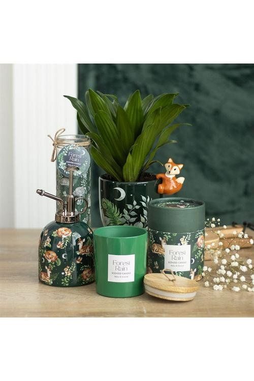 KDMD Forest Rain Candle image 5