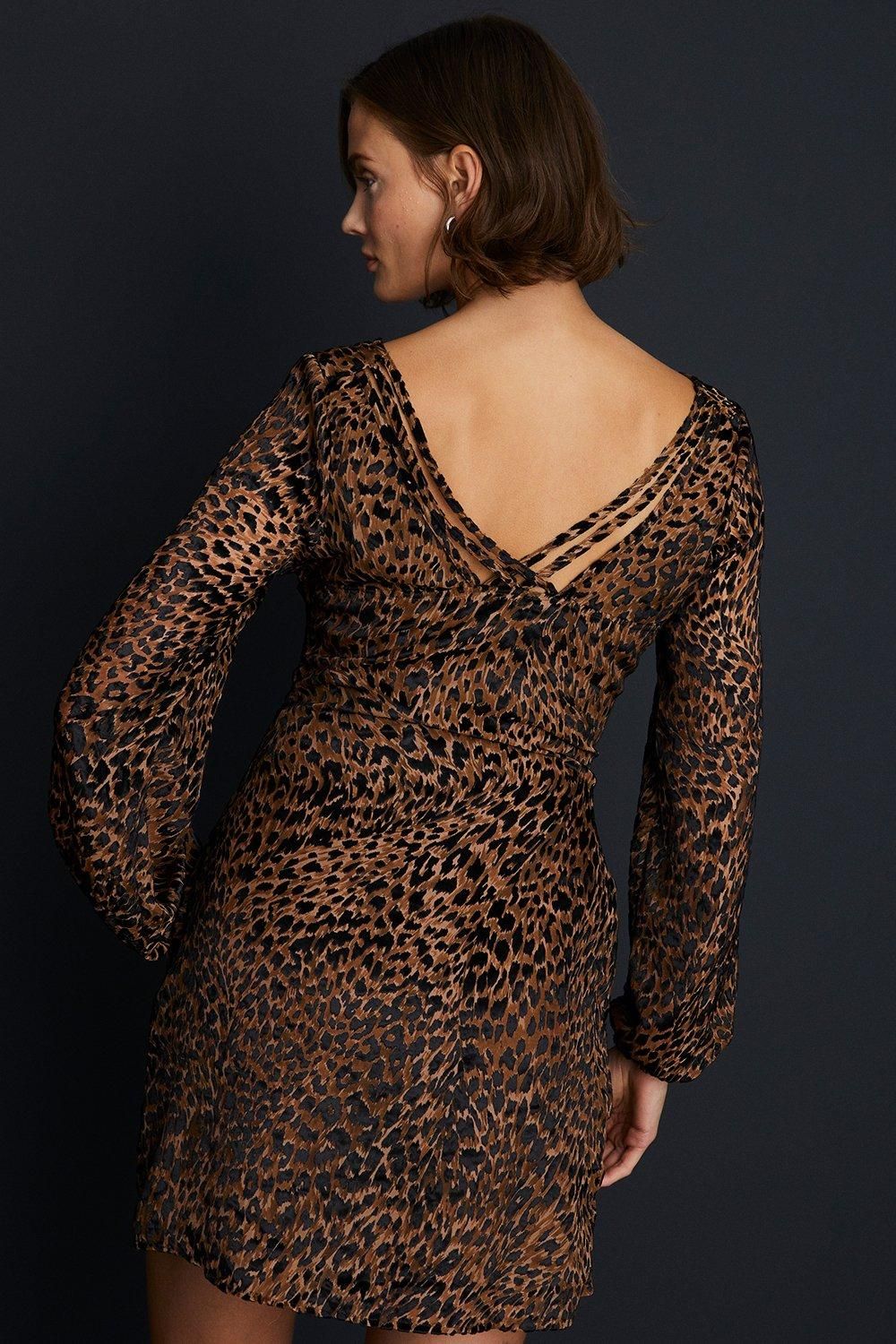 Oasis Velvet Devore Animal Volume Sleeve mini Dress Animal image 3