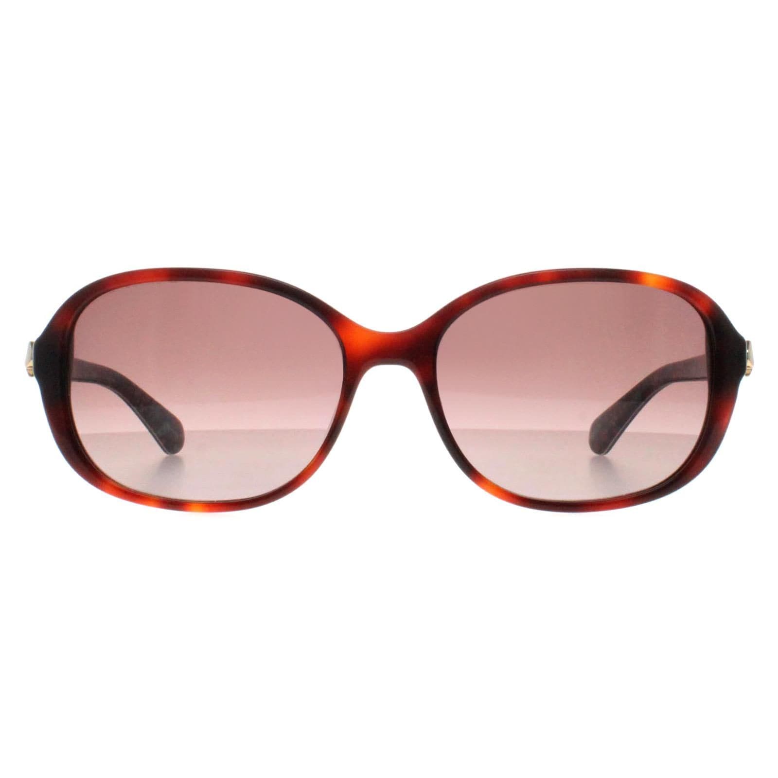 Kate Spade Butterfly Shiny Dark Havana Brown Gradient Izabella/G/S image 1