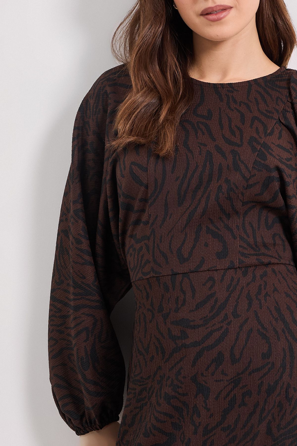 Dorothy Perkins Brown Animal Blouson Sleeve Printed Jersey Mini Dress Brown image 4